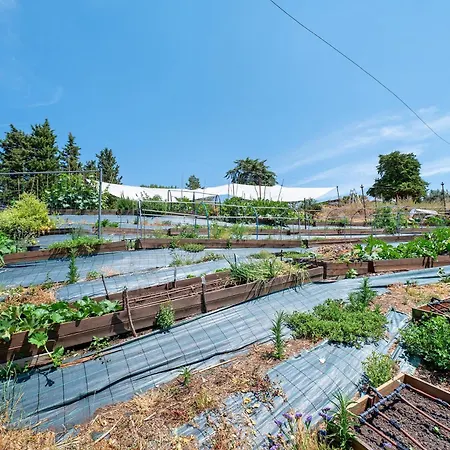 Nerbone Farm Retreat Farm stay