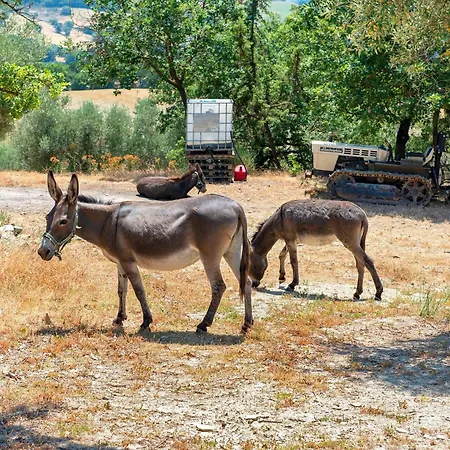 Nerbone Farm Retreat Farm stay Perugia