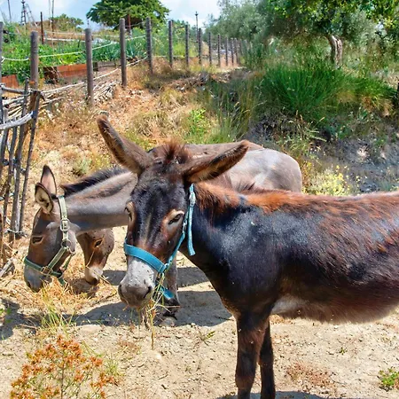Nerbone Farm Retreat Farm stay Perugia
